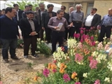 برگزاری دوره آموزش مهارت  درحرفه  